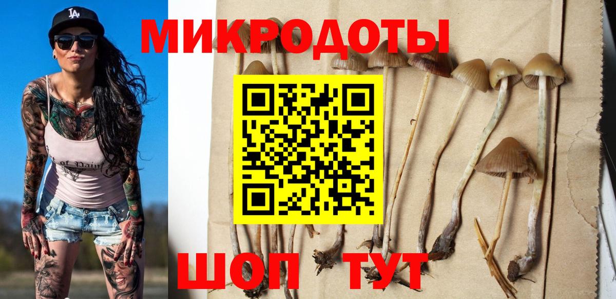 Псилоцибиновые грибы Psilocybine cubensis  Вход с VPN  Кизляр  Галлюциногенные грибы Psilocybine cubensis 