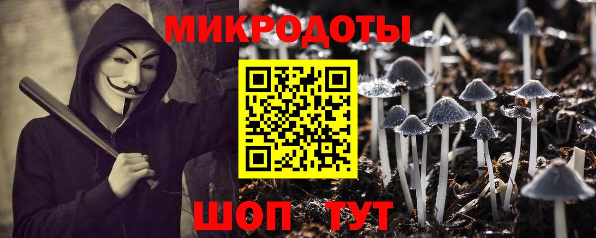 Галлюциногенные грибы Cubensis Кизляр
